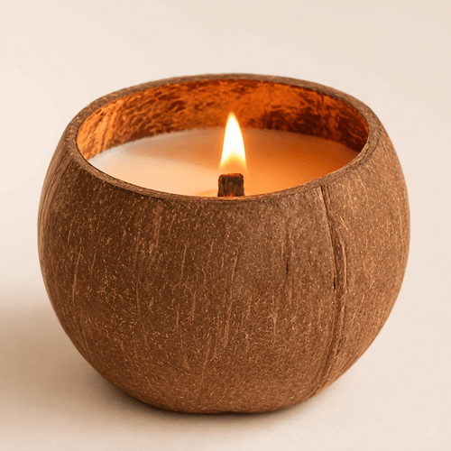 Lit Warmelle Coco Haven coconut shell candle
