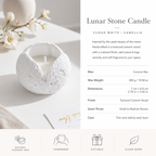 Warmelle Ceramic Scented Candle in a ceramic vessel, alternate view 3